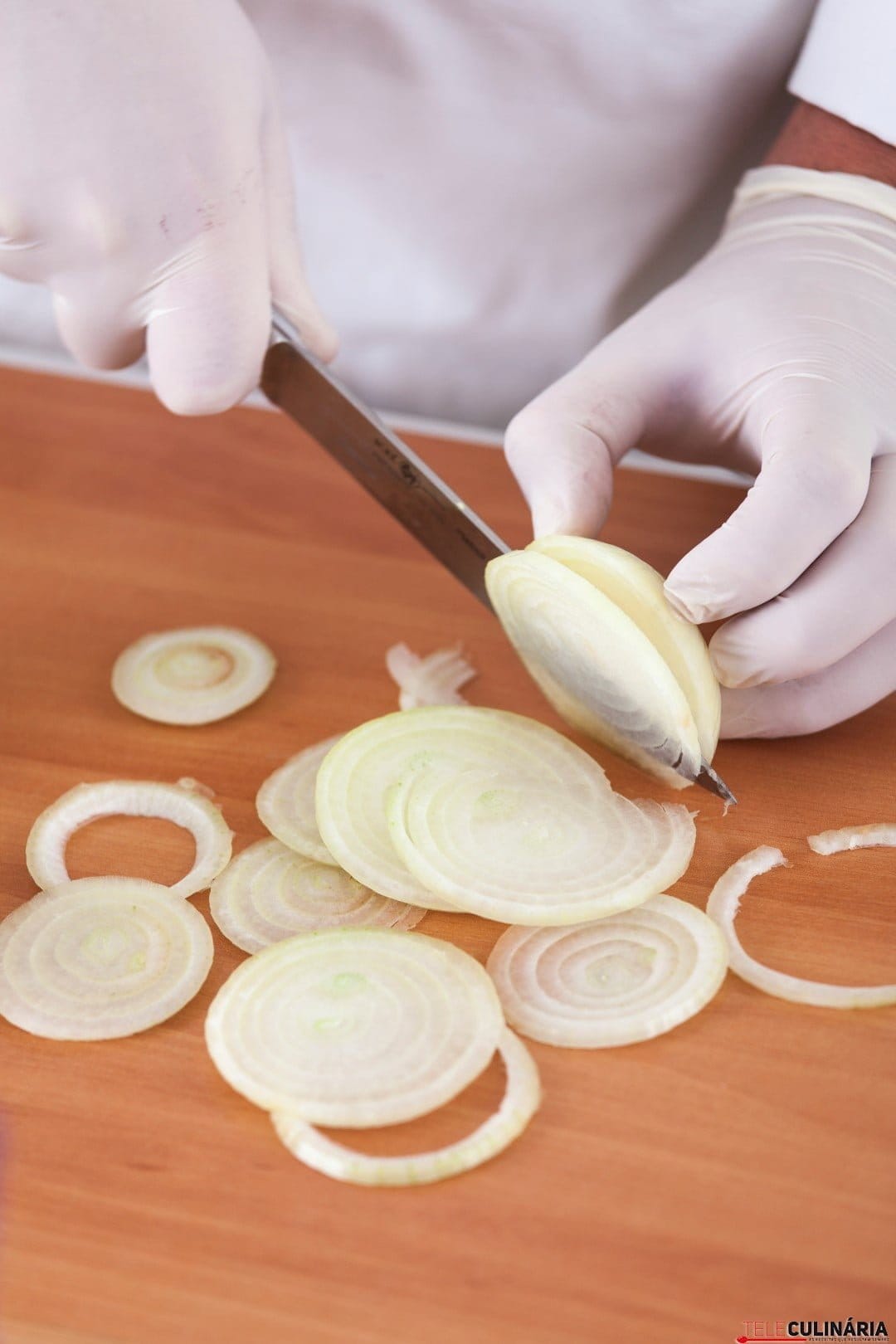 Tecnicas de Corte de Cebola TC_001 (Large)