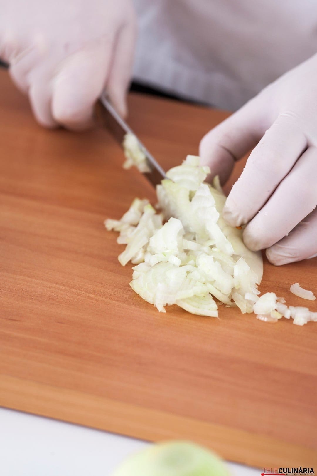 Tecnicas de Corte de Cebola TC_002 (Large)