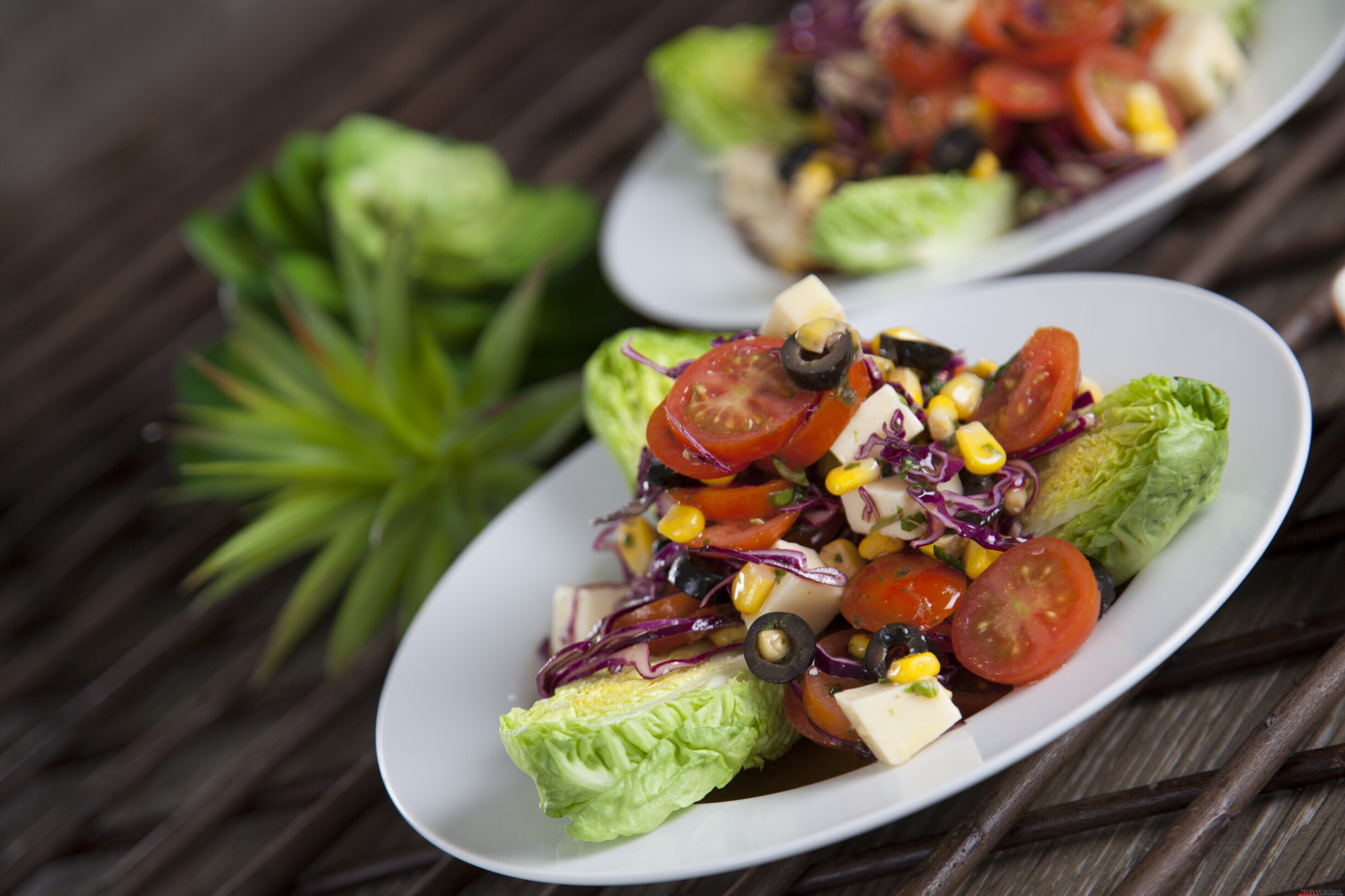 Salada de queijo com tomate