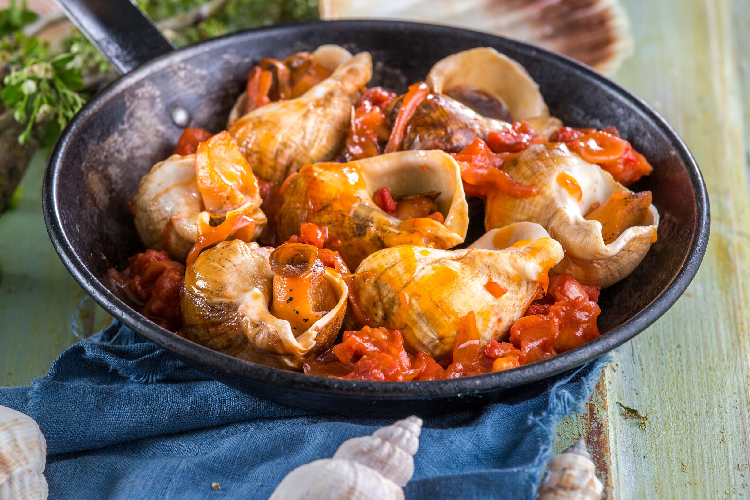 Búzios com chouriço