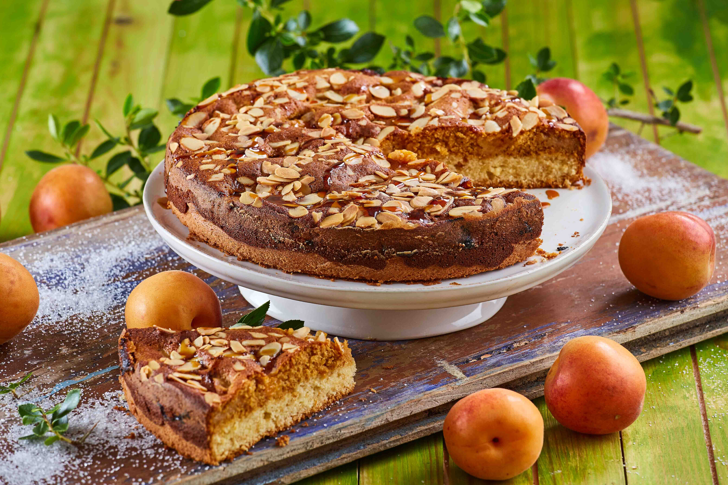 Bolo esponja de alperces