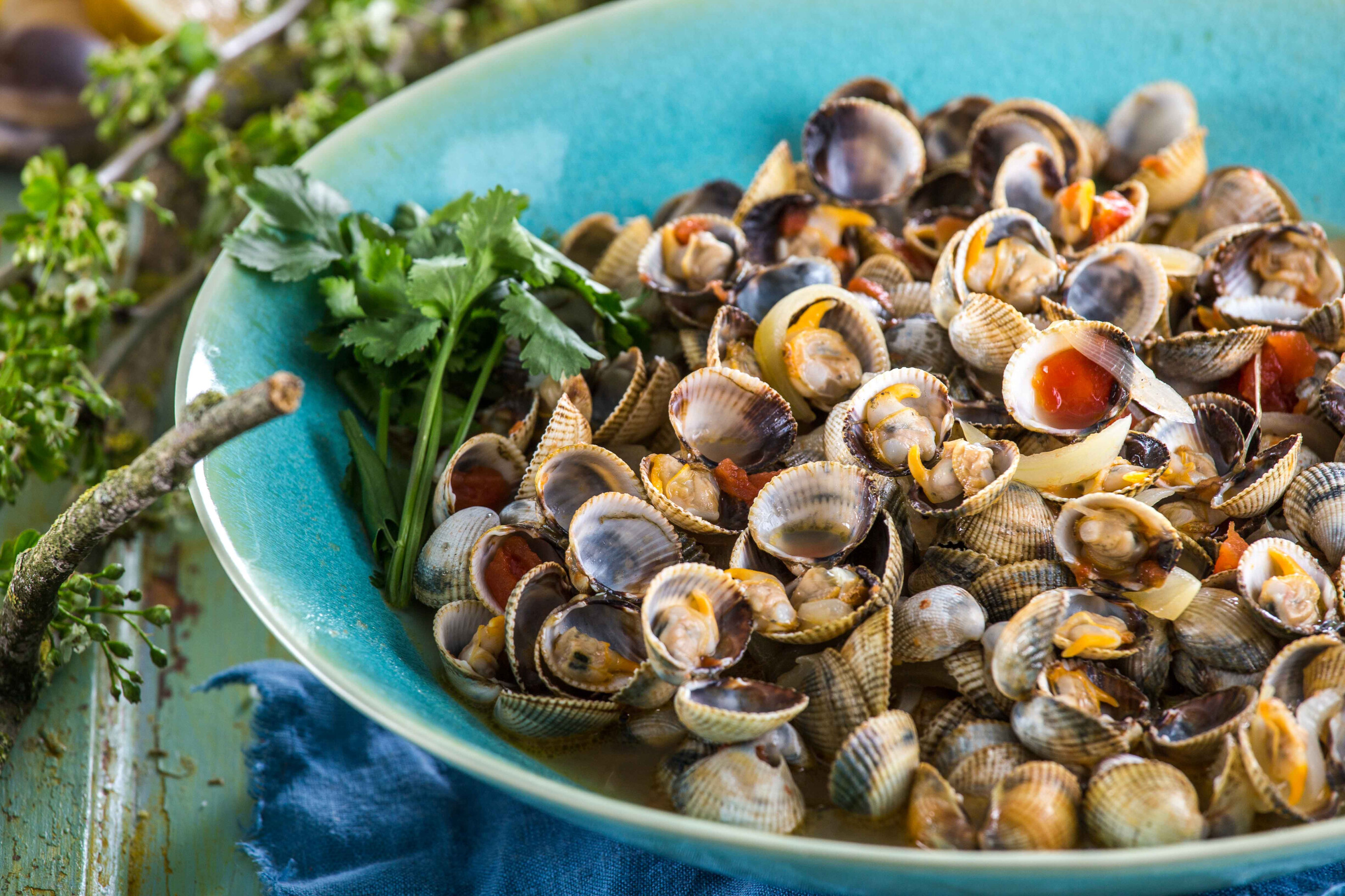 Petisco de berbigão