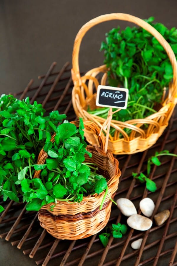 Ingrediente Rei – AGRIÃO