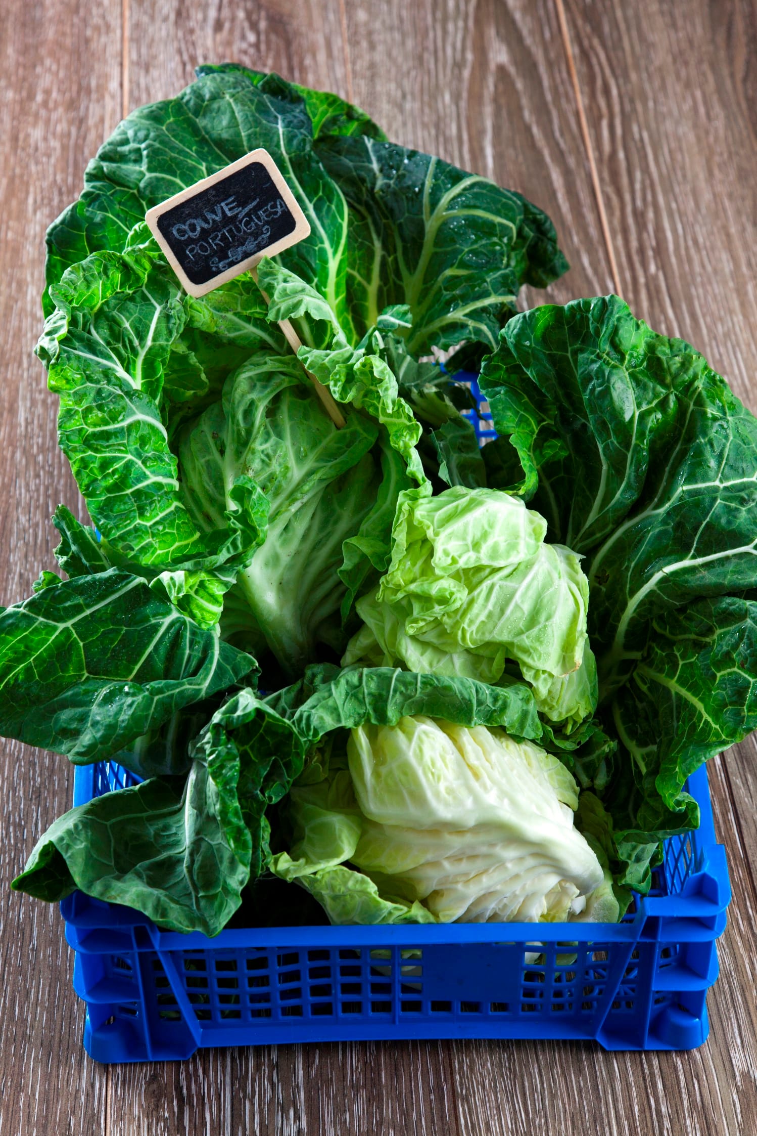 Couve portuguesa (Custom)