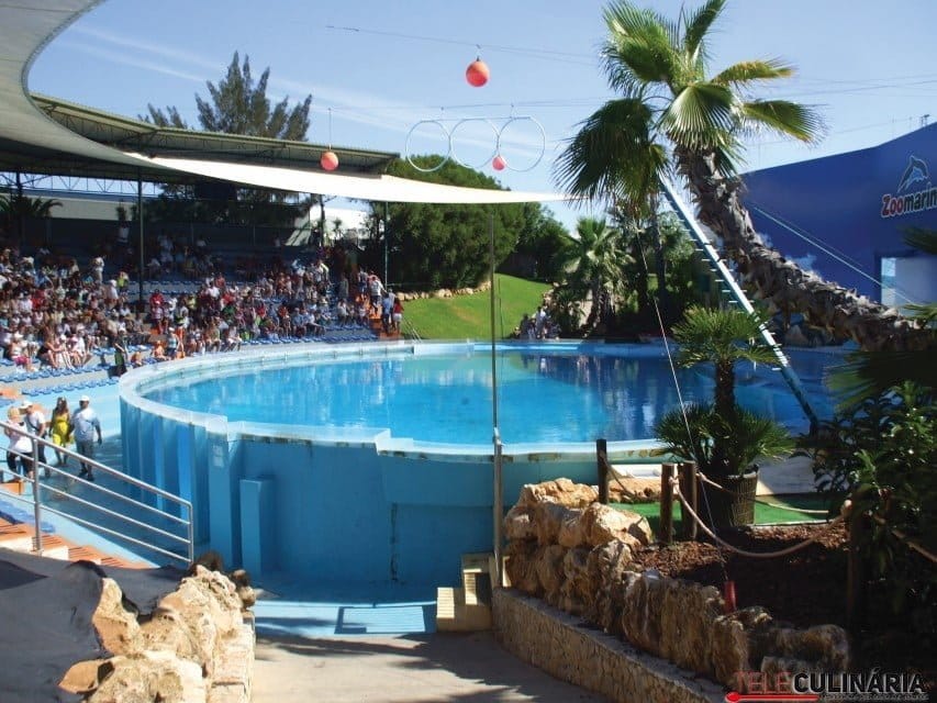 zoomarine-algarve (Custom)