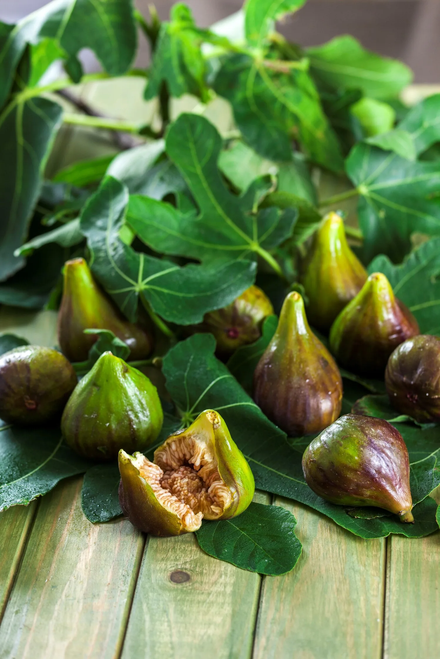 Ingrediente Rei – FIGO