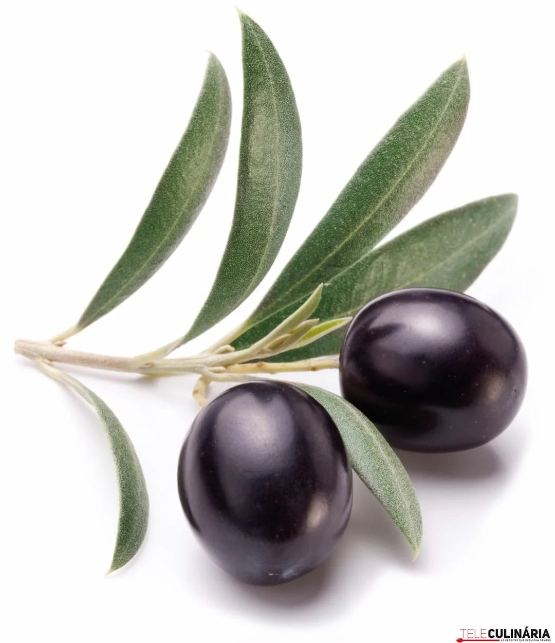 Ripe black olives with leaves.
