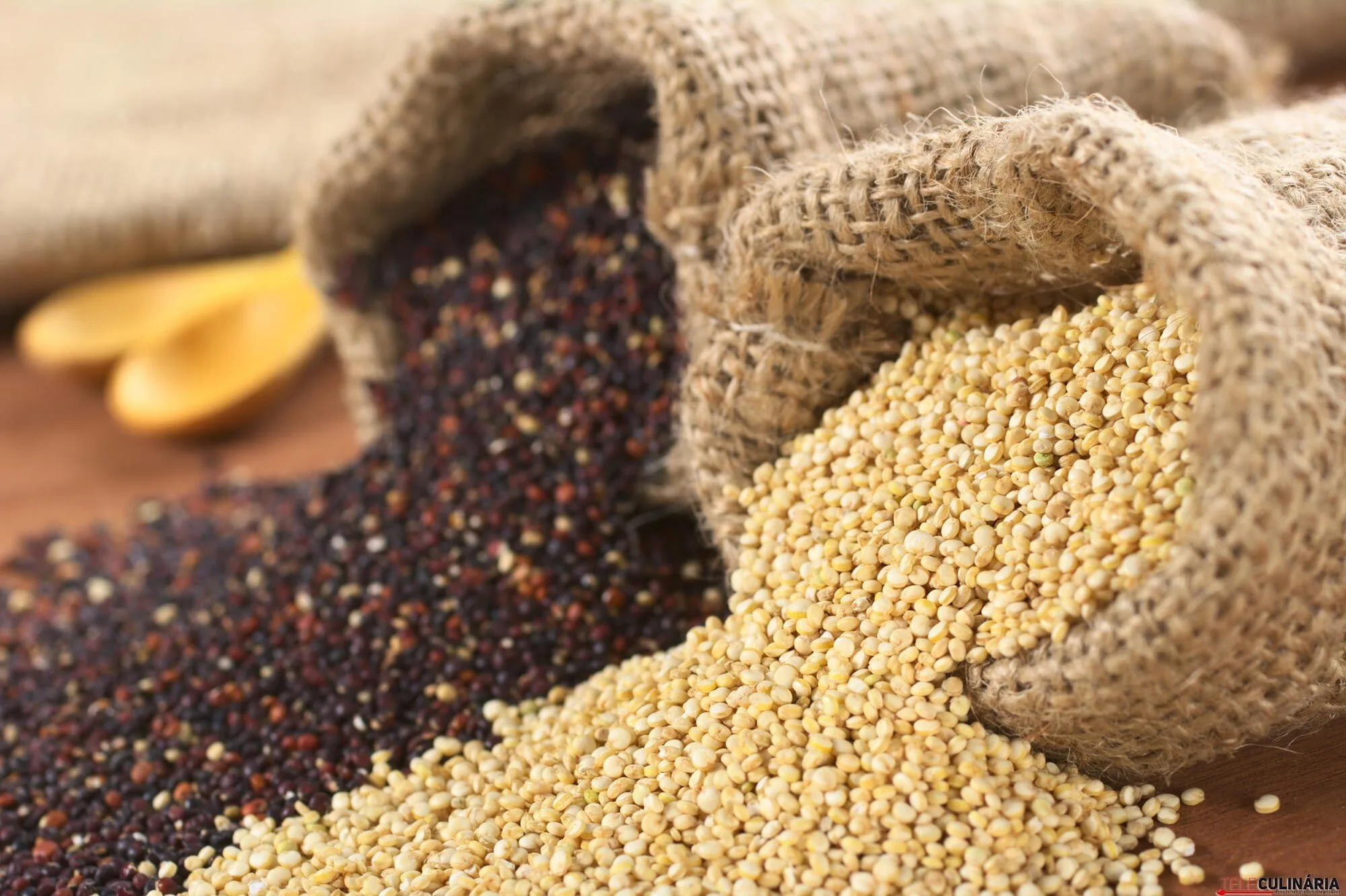 Ingrediente Rei – Quinoa