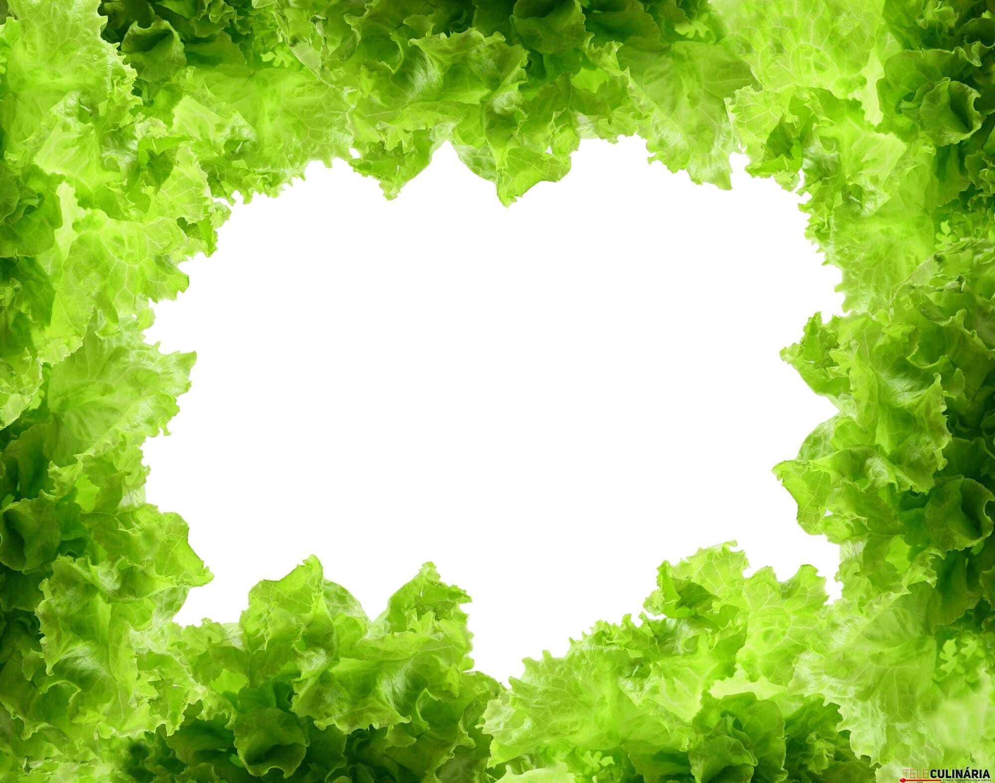 Ingrediente Rei – ALFACE