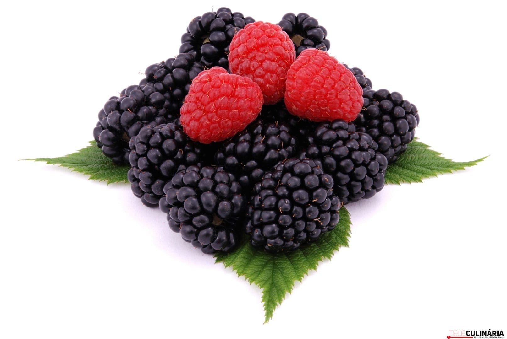 Ingrediente Rei – AMORAS