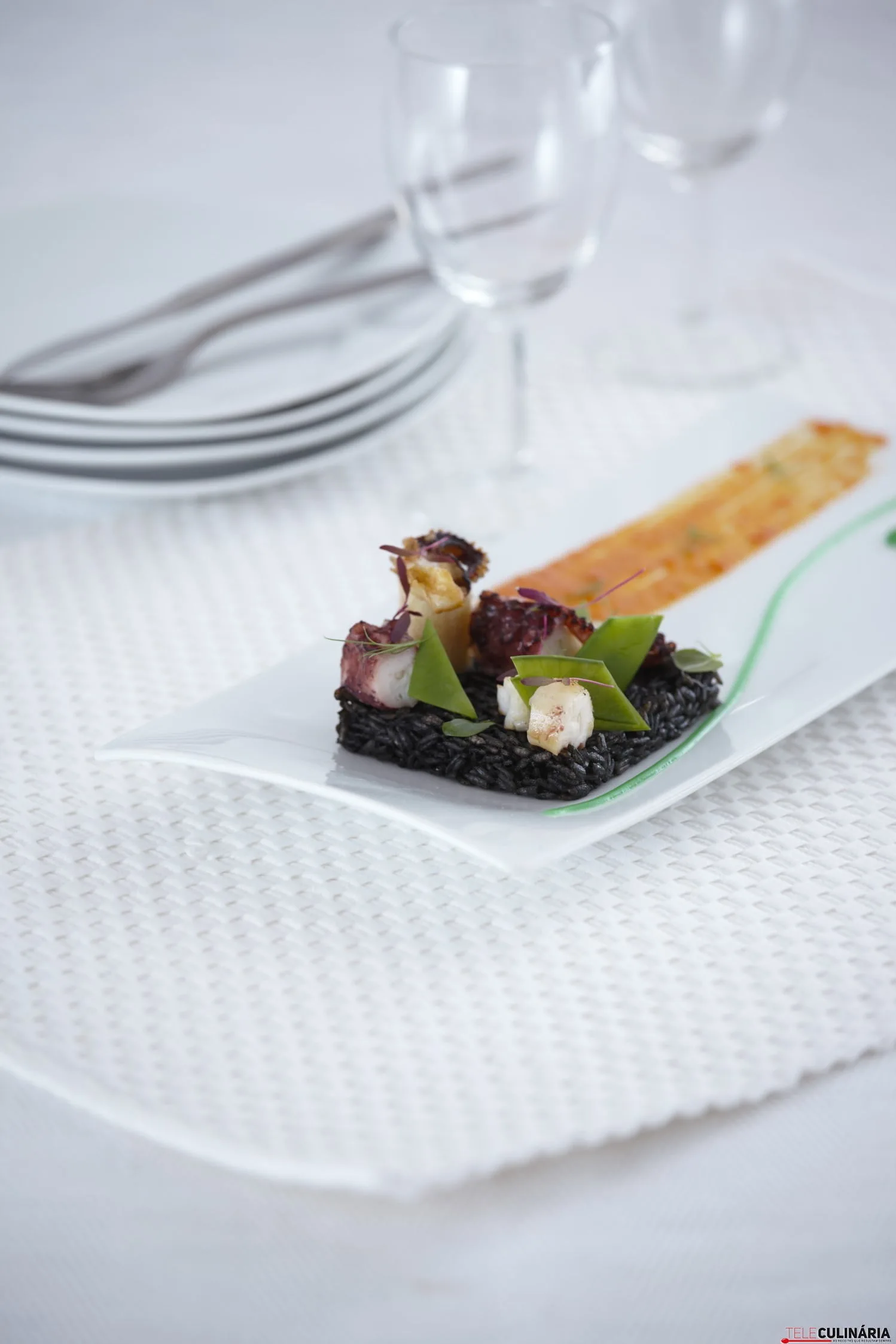 Tentacoes de Polvo e Choco TC_001 (Custom)