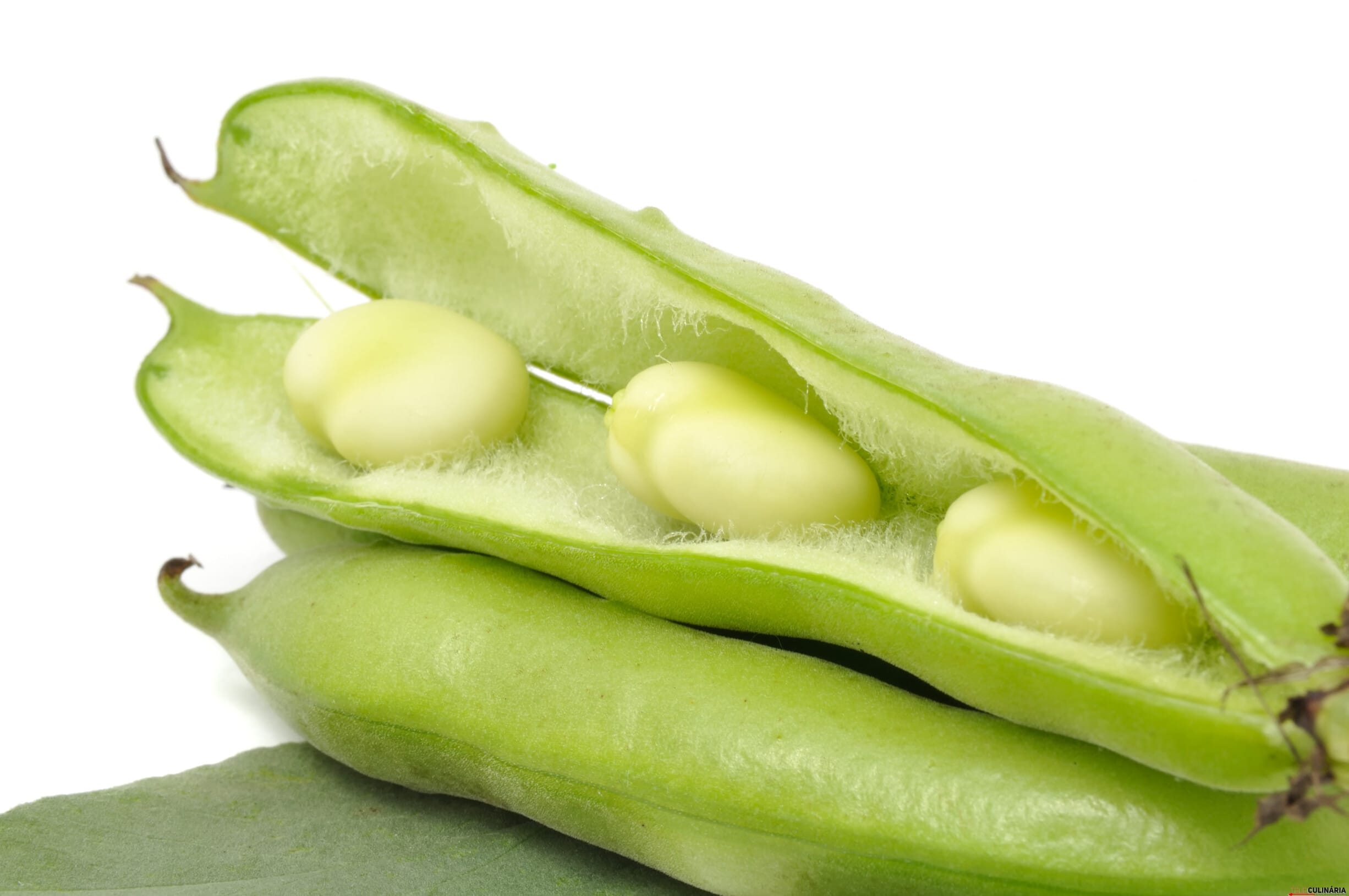 Ingrediente Rei – FAVAS