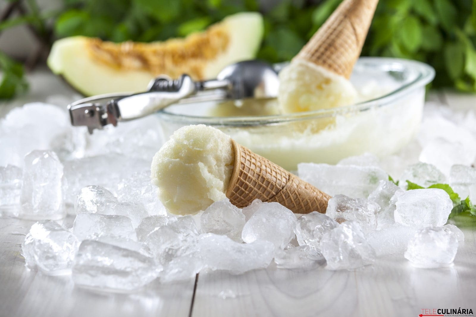 melão gelado