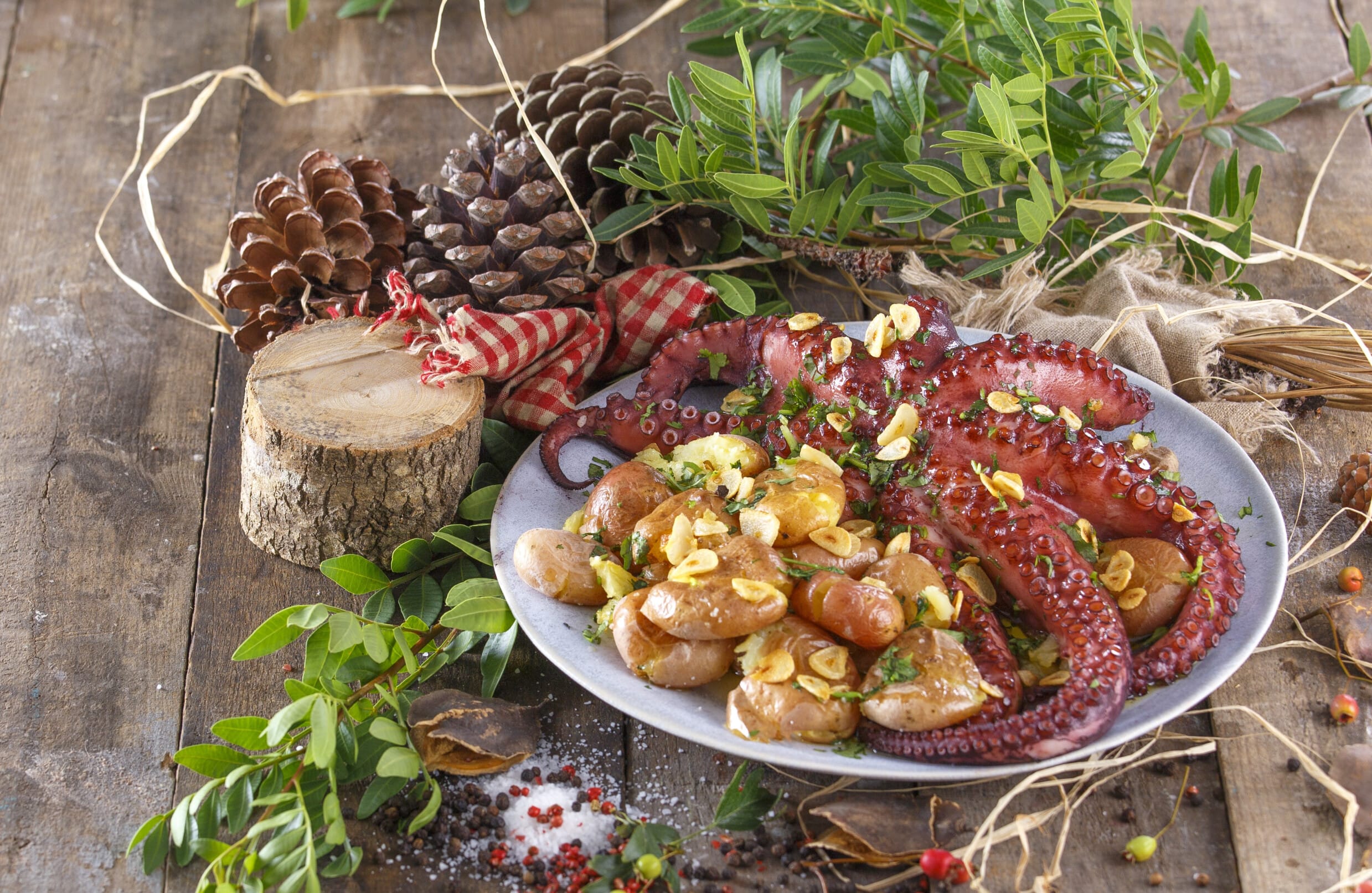 10 receitas para saborear em família