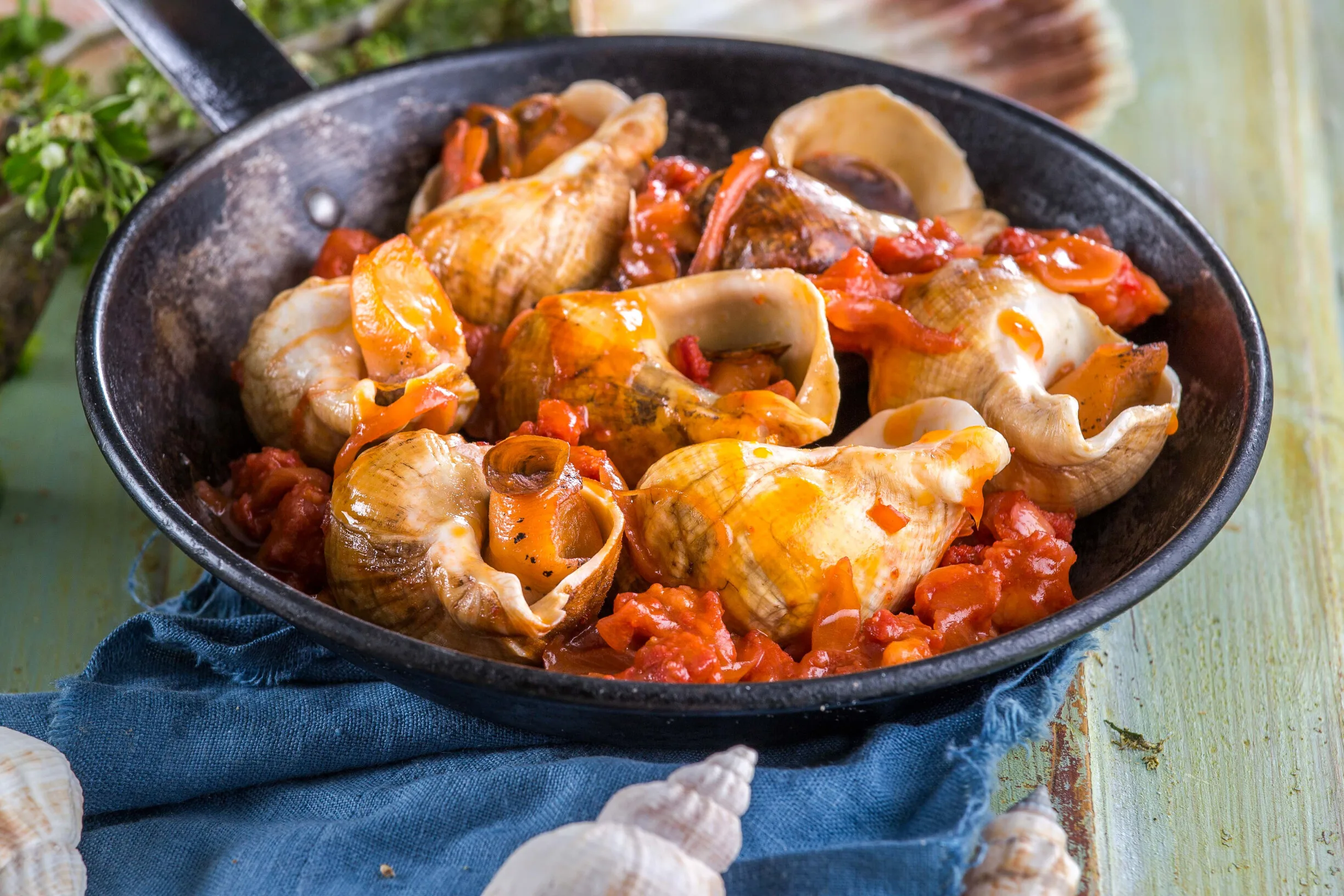 Búzios com chouriço