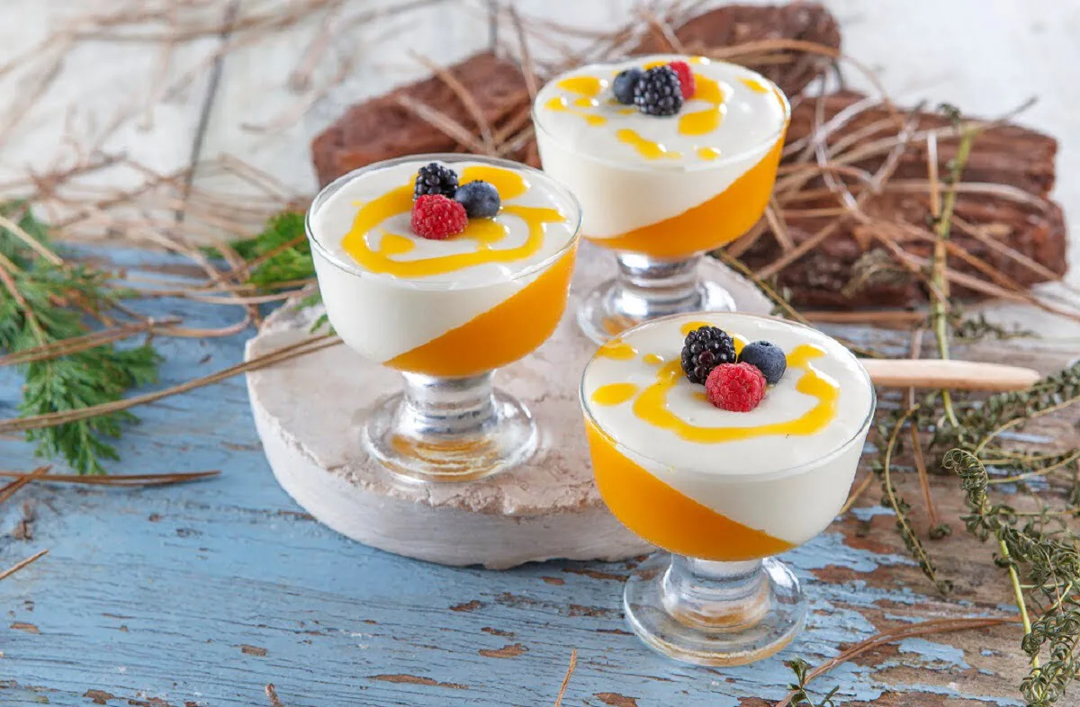 Panacota de manga com frutos vermelhos