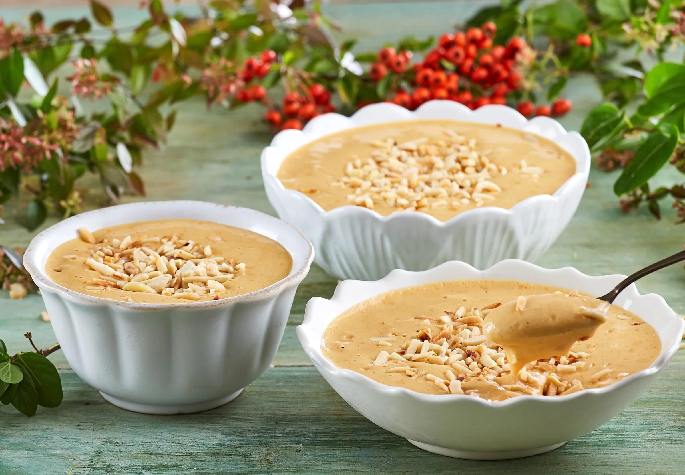 Baba de Camelo - Vídeo