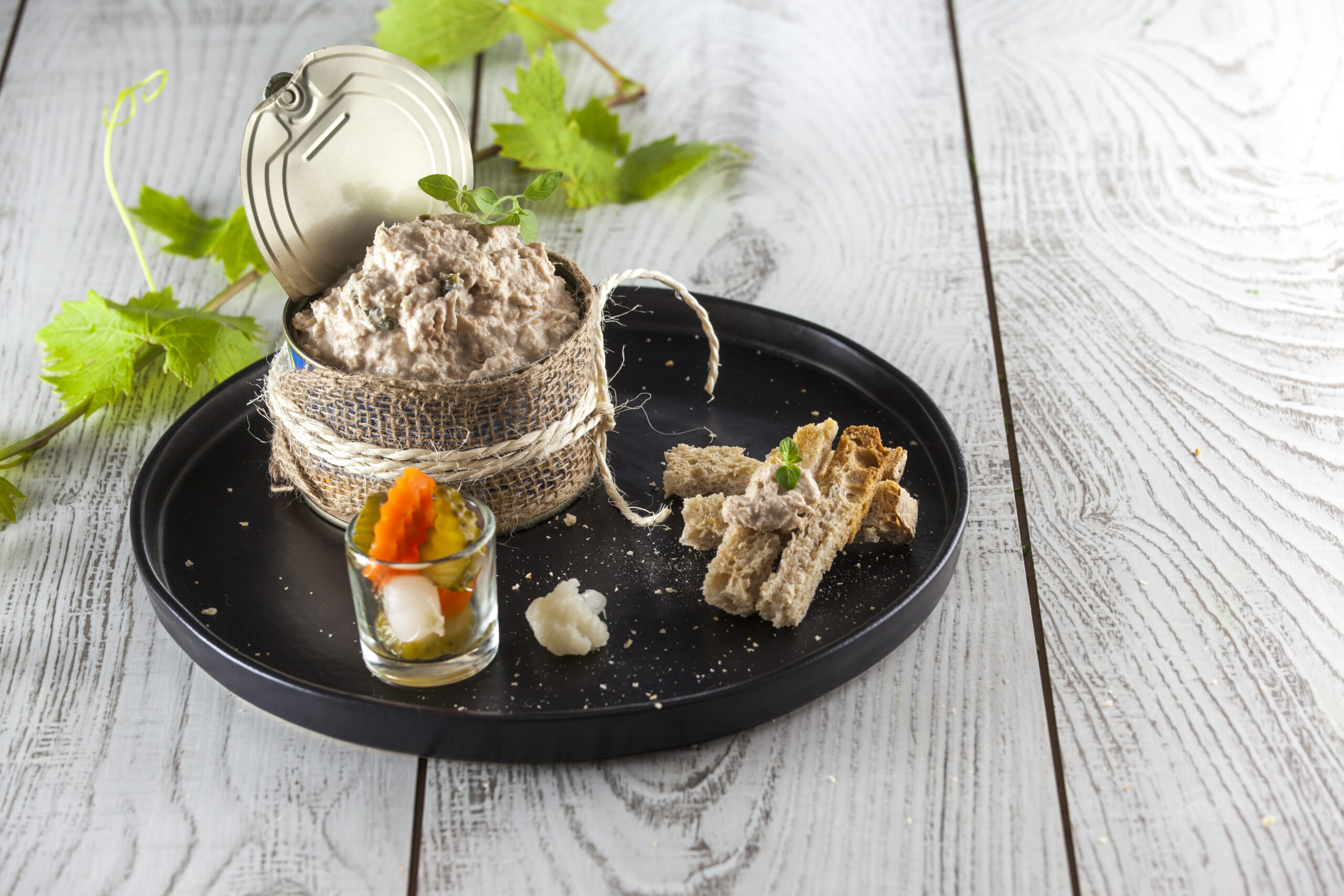 r\Revistas\02_ROBOT\2016 RBT\Imagens\TC ESPECIAL ROBOT 104\Entradas\Pate de atum CHBK