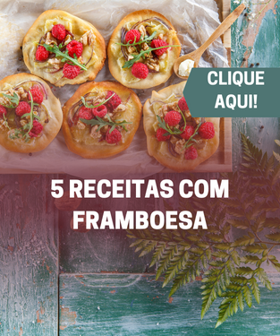 5 receitas com framboesa