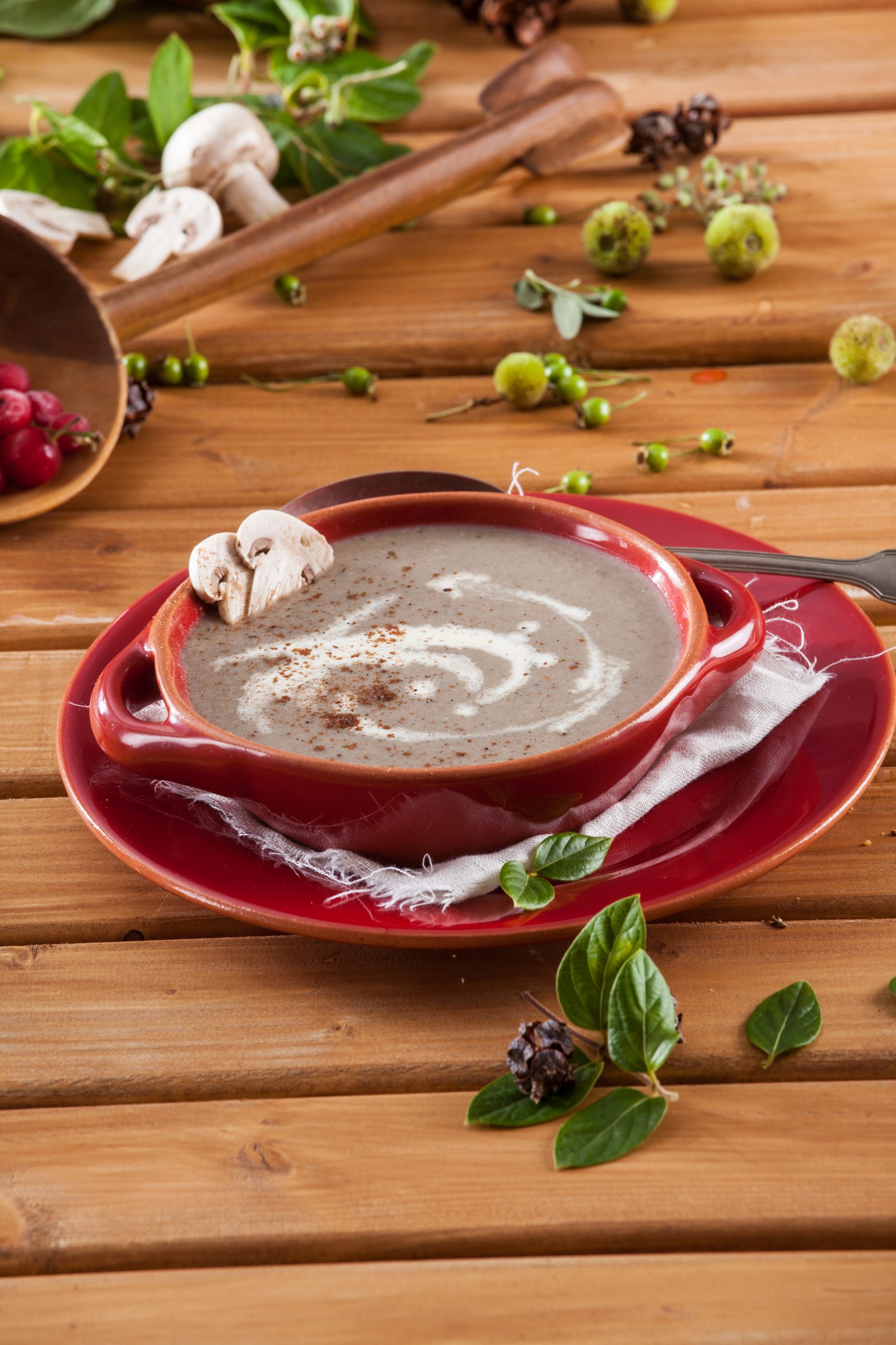 Creme aveludado de cogumelos