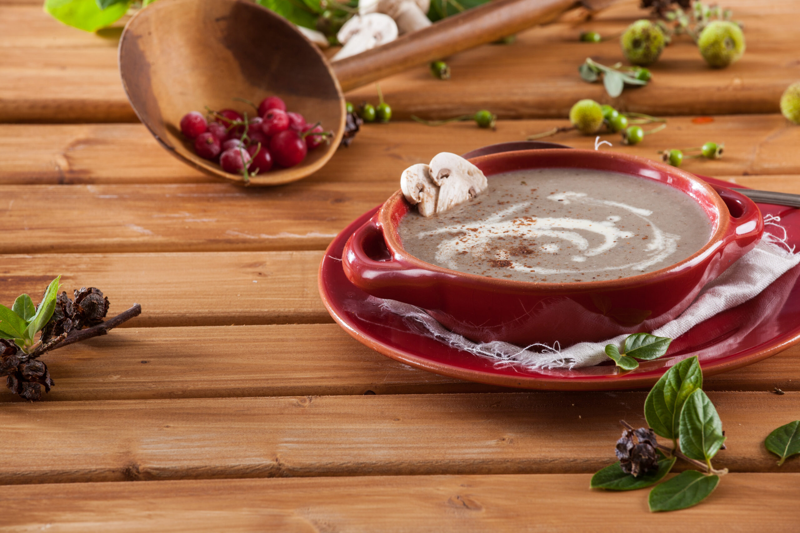 Creme Aveludado de Cogumelos @Teleculinária