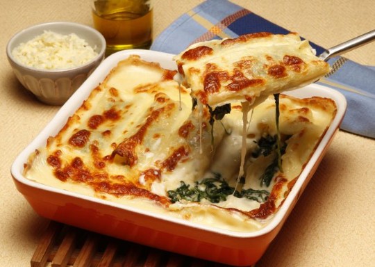Canelones com recheio de espinafres e queijo